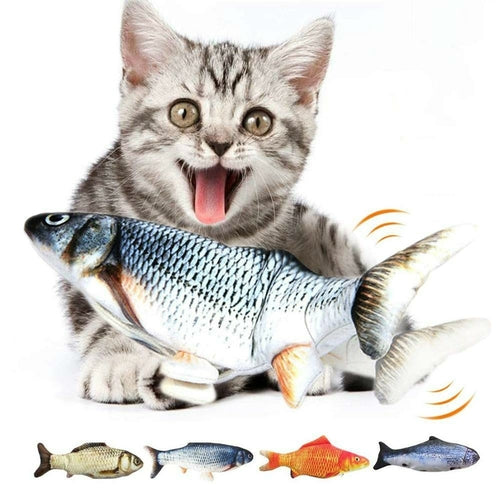 Cats🐈