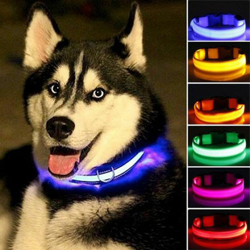 Lot de 2 colliers de chien LED en nylon